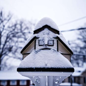 Winter photography